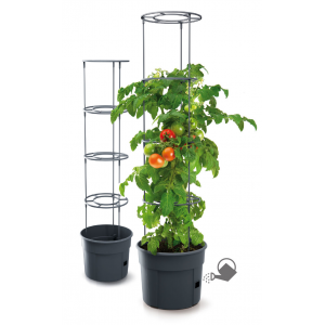 PROSPERPLAST Γλαστράκι Tomato Grower ∅39,2 cm IPOM400-S433 | Σπίτι & Κήπος – Διακόσμηση Σπιτιού | karaiskostools.gr